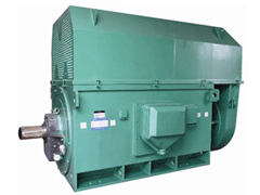 北仑Y系列6KV高压电机